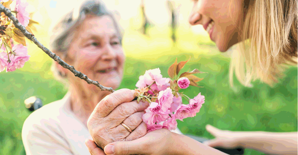 Florais fortalecem cuidadores em Pombos