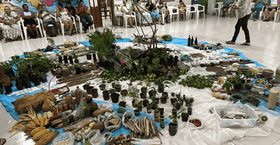 Projeto Beth Bruno: 15 anos de cuidado, transformação e integração dos florais de Bach na Amazônia