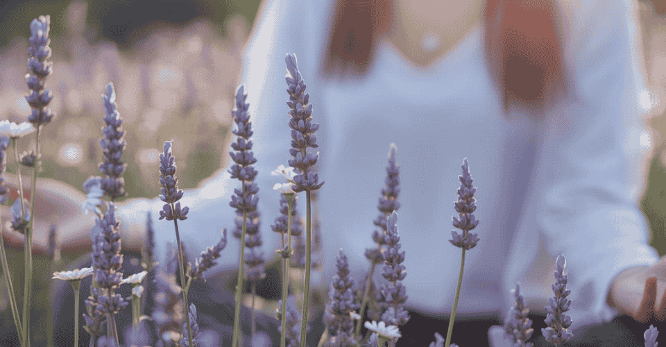 Florais de Bach e meditação: como unir razão, intuição e espiritualidade no cotidiano moderno